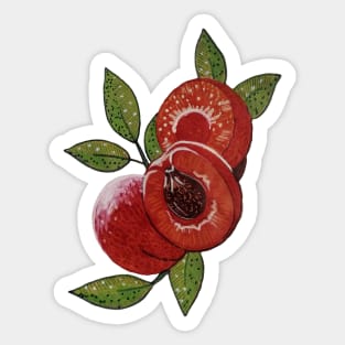 apricot Sticker